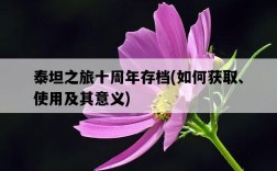 泰坦之旅十周年存檔，如何獲取、使用及其意義