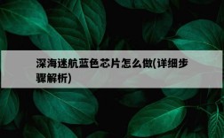 深海迷航藍色芯片怎么做，詳細步驟解析