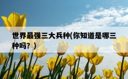 世界最強三大兵種，你知道是哪三種嗎？
