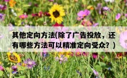 其他定向方法，除了廣告投放，還有哪些方法可以精準定向受眾？