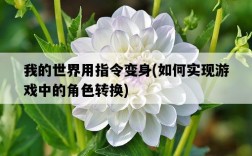 我的世界用指令變身，如何實現游戲中的角色轉換