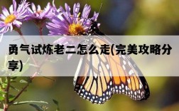勇氣試煉老二怎么走，完美攻略分享