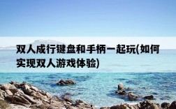 雙人成行鍵盤和手柄一起玩，如何實現雙人游戲體驗