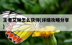 王者艾琳怎么獲得，詳細攻略分享