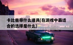 卡比獸帶什么道具，在游戲中最適合的選擇是什么