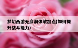 夢幻西游無底洞體敏加點，如何提升戰斗能力