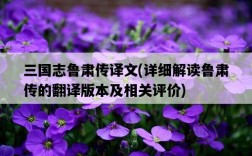 三國志魯肅傳譯文，詳細解讀魯肅傳的翻譯版本及相關評價
