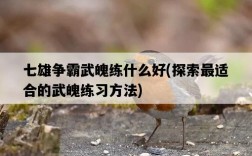 七雄爭霸武魄練什么好，探索最適合的武魄練習方法