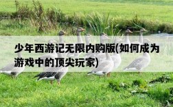 少年西游記無限內購版，如何成為游戲中的頂尖玩家