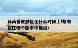 孫尚香皮膚優化什么時候上線，有望在哪個版本中推出