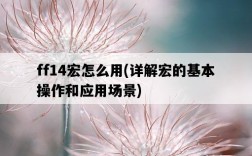 ff14宏怎么用，詳解宏的基本操作和應用場景