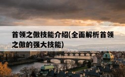 首領之傲技能介紹，全面解析首領之傲的強大技能