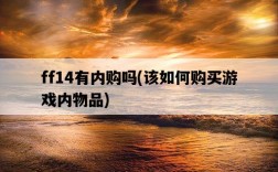 ff14有內購嗎，該如何購買游戲內物品