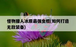 怪物獵人冰原最強蟲棍，如何打造無敵裝備