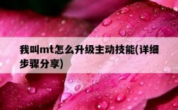 我叫mt怎么升級主動技能，詳細步驟分享