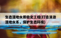 生態濕地水質穩定工程，打造清澈濕地水系，保護生態環境