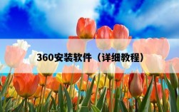 360安裝軟件（詳細教程）
