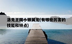 洛克王國小銀翼龍，有哪些厲害的技能和特點