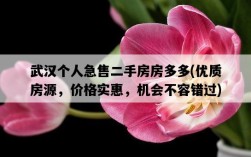 武漢個人急售二手房房多多，優質房源，價格實惠，機會不容錯過