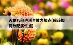 天龍八部逍遙全體力加點，應該如何分配屬性點
