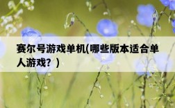 賽爾號游戲單機，哪些版本適合單人游戲？