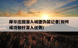 摩爾莊園潛入城堡偽裝記者，如何成功做好潛入任務