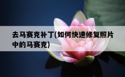 去馬賽克補丁，如何快速修復照片中的馬賽克