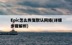 Epic怎么恢復默認網絡，詳細步驟解析