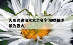 火影忍者仙術大全名字，哪些仙術最為強大