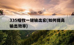 335暗牧一鍵輸出宏,如何提高輸出效率