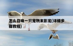 怎么召喚一只寵物末影龍，詳細步驟教程