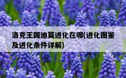 洛克王國迪莫進化在哪，進化圖鑒及進化條件詳解