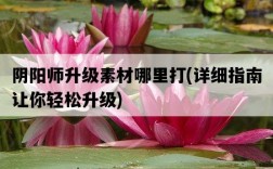 陰陽師升級素材哪里打，詳細指南讓你輕松升級