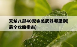 天龍八部40雙完美武器哪里刷，最全攻略指南
