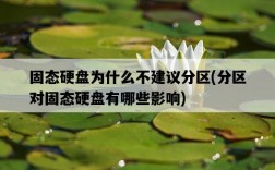 固態硬盤為什么不建議分區，分區對固態硬盤有哪些影響