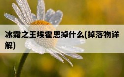 冰霜之王埃霍恩掉什么，掉落物詳解