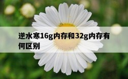 逆水寒16g內存和32g內存有何區別