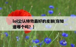 lol公認特效最好的皮膚，你知道哪個嗎？