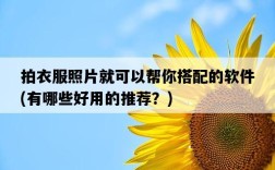 拍衣服照片就可以幫你搭配的軟件，有哪些好用的推薦？