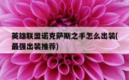 英雄聯盟諾克薩斯之手怎么出裝，最強出裝推薦