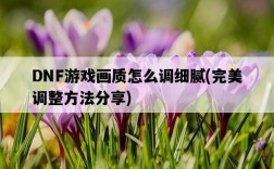 DNF游戲畫質怎么調細膩，完美調整方法分享