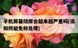 手機屏幕燒屏會越來越嚴重嗎，該如何避免和處理