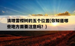 清理雷櫻樹的五個位置，你知道哪些地方需要注意嗎？