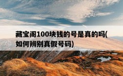 藏寶閣100塊錢的號是真的嗎，如何辨別真假號碼