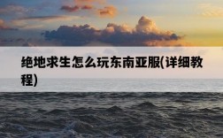絕地求生怎么玩東南亞服，詳細教程