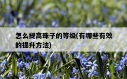 怎么提高珠子的等級，有哪些有效的提升方法
