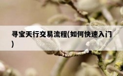 尋寶天行交易流程，如何快速入門