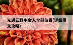 光遇云野小金人全部位置，詳細圖文攻略