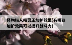 怪物獵人精靈王加護效果，有哪些加護效果可以提升戰斗力