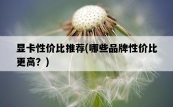 顯卡性價比推薦，哪些品牌性價比更高？